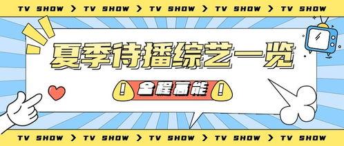 娱乐吃瓜蜀黍广告,揭秘娱乐圈幕后故事，带你畅游八卦海洋
