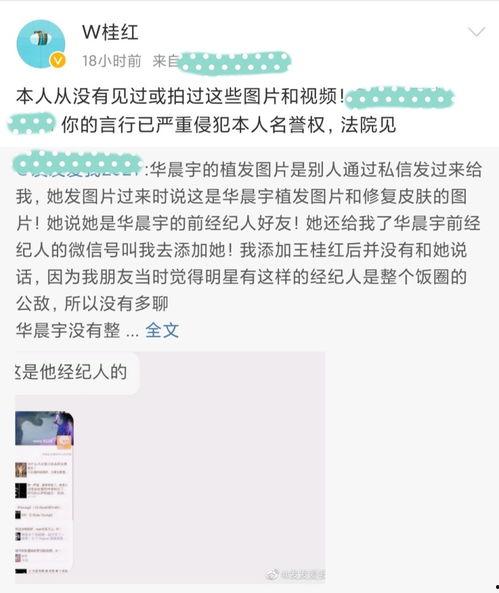 娱乐吃瓜直男完整版,直男视角下的“吃瓜”全纪录